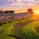 수원-1517 이미지