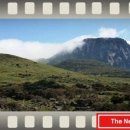 자연 메디칼 이미지