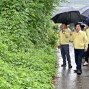 고흥-6호 이미지