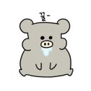 정희옥스시내서점