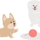 위풍댕댕 이미지