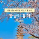 부여(백제)-03 | 부여 근교 벚꽃 명소 익산 왕궁리 유적 벚꽃 개화상황