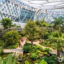 서울양천고성지 이미지