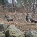 샘터농장 이미지