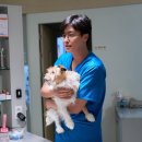 강아지가정부 | [영화] 파과 관람 후 솔직후기