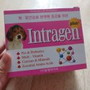 인트라젠 이미지