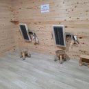 라인핏(점핑다이어트) 이미지