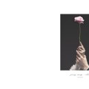 정성을담다 이미지