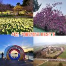 온양목장 | 서산 가볼만한곳 서산 여행 서산 간월암.개심사.서산한우목장 해미읍성축제 2025 기본정보 가수 라인업