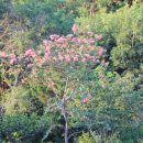 아산사슴 건강의 집 이미지