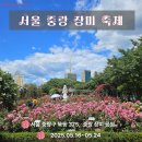 양정동 산13-7일원 | 서울 🌹 중랑구 장미 축제 🌹 간단한 후기와 TIP ~ ! 🌹