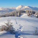 13월겨울 이미지