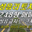 표선공인중개사사무소 Daum카페