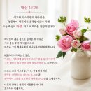 7/5. 대상16:36 아멘으로의 삶 이미지