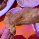 꼬꼬리아 이미지