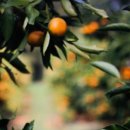 오류공단타이어 이미지