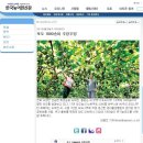 신문농장 이미지