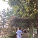 대원사약국 이미지