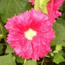 청안농장 이미지