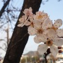 도심건강길 3길 이미지