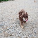 내동저수지낚시터 이미지