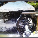 「조용헌의 주유천하」 무재팔자(無財八字)에 대하여 이미지