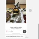 문배농장 | 11월 (신당 표주,대흥 롤앤롤김밥,홍대 망글곰팝업,이혜와서울,문래 타코비리아,해방촌 노스트레스버거...