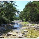 함양농협주유소 이미지