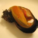 진도횟집 이미지