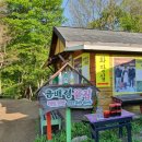 곰배령끝집 | 기대했지만 아쉬웠던 곰배령 강선마을 산나물 맛집