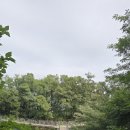 야생화단지 이미지