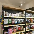 대형애견 이미지