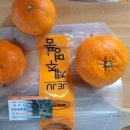 규리 농장 이미지