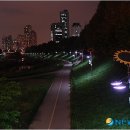 해바라기태양광 이미지