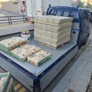 원종한일 이미지