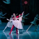 영상으로 만나는 발레「호두까기 인형」 이미지