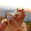 경부한의원 이미지