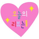 특별하개 이미지