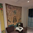 대오상사 이미지