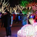 프로방스 포토랜드 이미지