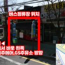 펫미장원 공감 이미지