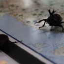 장수엄마 농장 이미지