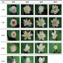회산축산 이미지
