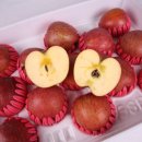 청송상회 이미지