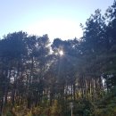 한솔뜰근린공원 이미지