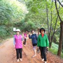 계족산 황톳길 이미지