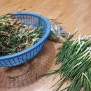 삼태리농장 이미지