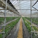 진형농장 이미지