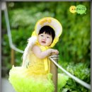 버블그린 이미지