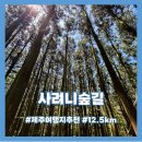 남조로 | [사려니숲길] 절물조릿대길-비자림로-남조로 코스 소요시간 역주행 후기